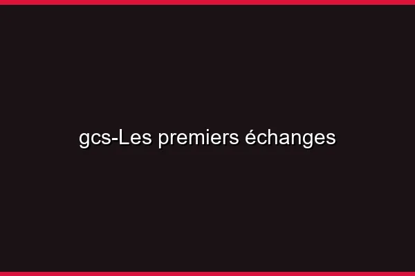 Les premiers échanges